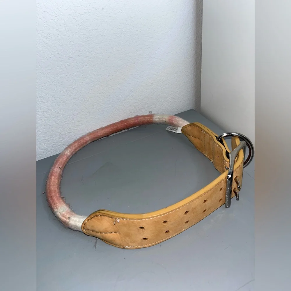 Youly Avant- Garde Braided NWOT Chunky Belted Dog Collar Adjustable Hole 36”